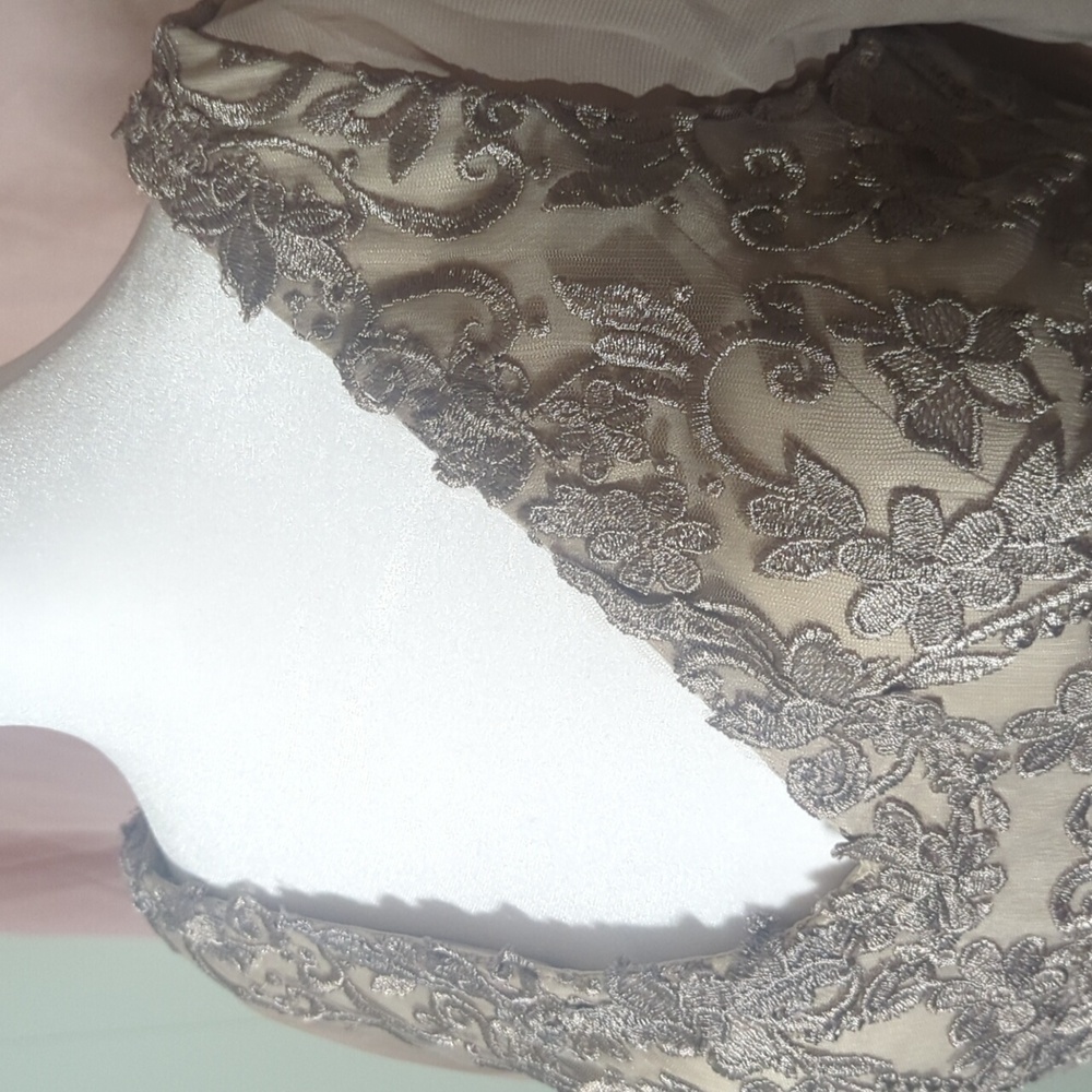 Embellished Lace Maxi Dress in Champagne Taupe - Picture 2 of 6